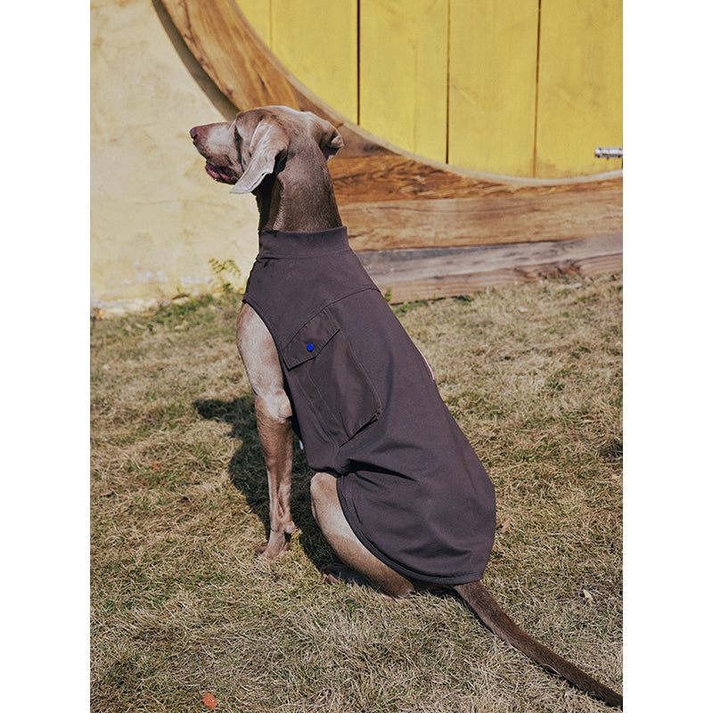 Premium Dog Cooling Vest - Breathable Ice Pack Harness for Heat Relief, Sun Protection Summer Gear
