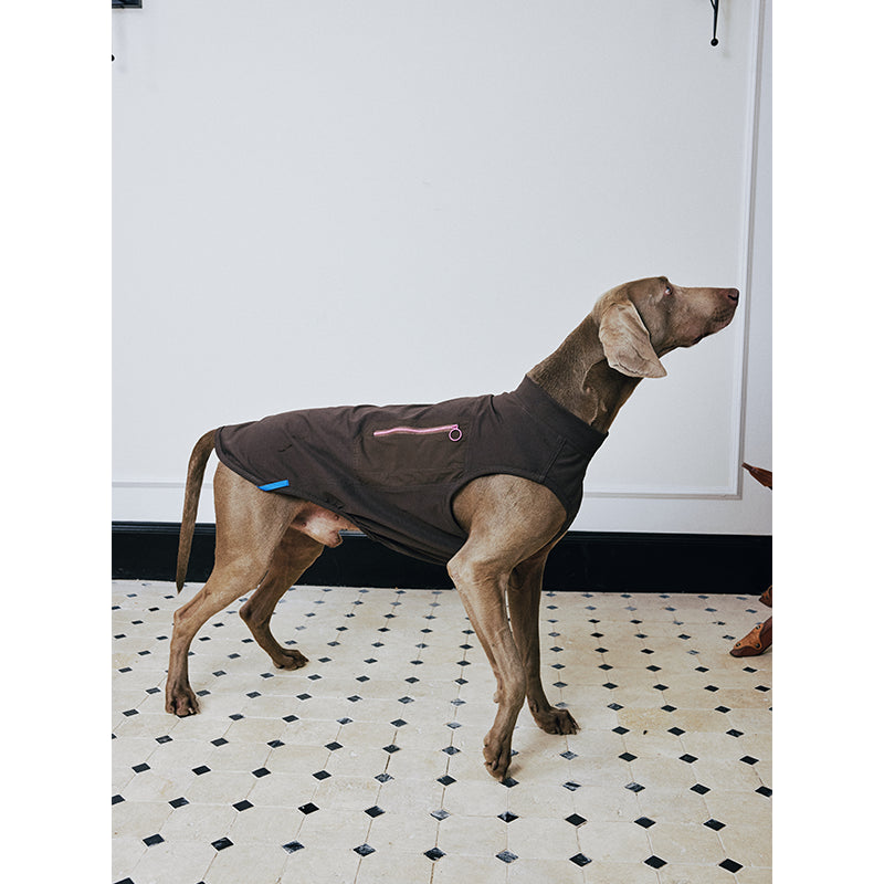 Premium Dog Cooling Vest - Breathable Ice Pack Harness for Heat Relief, Sun Protection Summer Gear