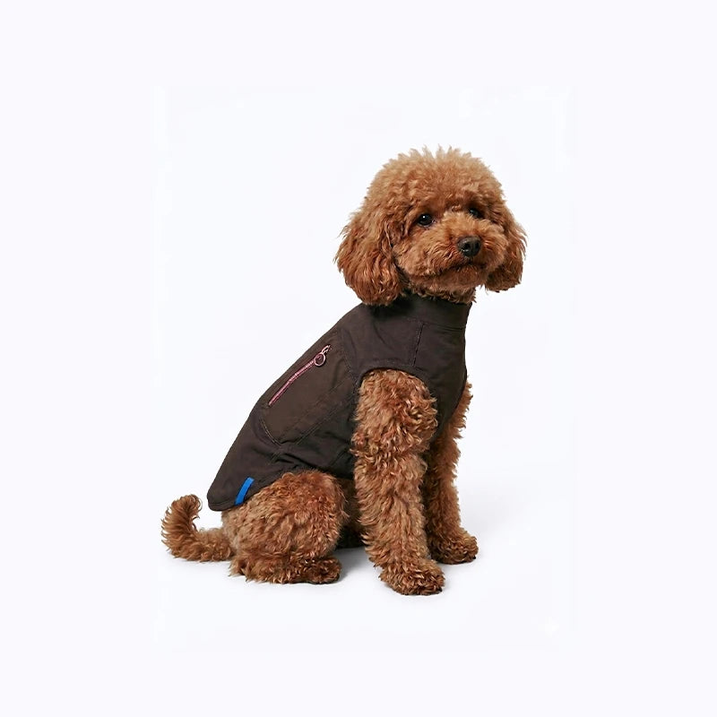Cooling Dog Vest for Summer | Free Ice Pack Included & Breathable Outdoor Mesh