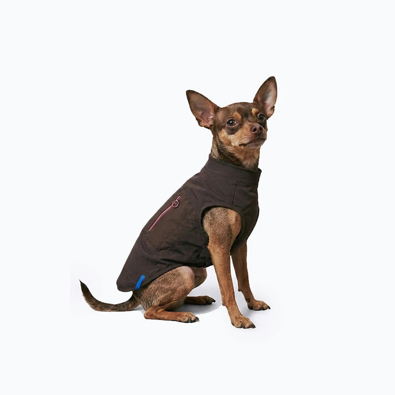 Cooling Dog Vest for Summer | Free Ice Pack Included & Breathable Outdoor Mesh