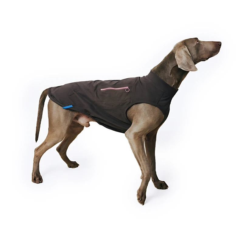 Cooling Dog Vest for Summer | Free Ice Pack Included & Breathable Outdoor Mesh