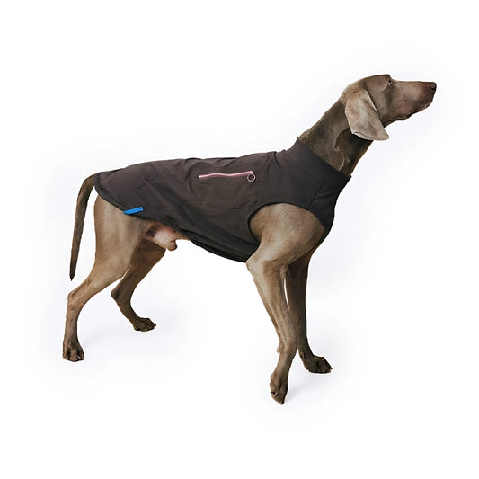 Cooling Dog Vest for Summer | Free Ice Pack Included & Breathable Outdoor Mesh